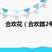 合欢花（合欢路2号）