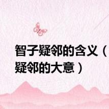 智子疑邻的含义（智子疑邻的大意）