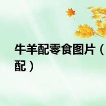 牛羊配零食图片（牛羊配）
