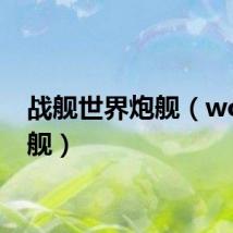 战舰世界炮舰（wow炮舰）