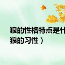 狼的性格特点是什么（狼的习性）