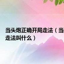 当头炮正确开局走法(当头炮的走法叫什么)