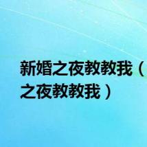 新婚之夜教教我（新婚之夜教教我）