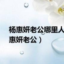杨惠妍老公哪里人（杨惠妍老公）