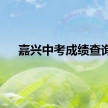 嘉兴中考成绩查询