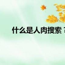 什么是人肉搜索？