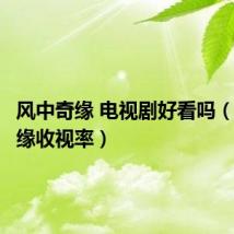 风中奇缘 电视剧好看吗(风中奇缘收视率)