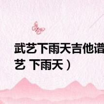 武艺下雨天吉他谱（武艺 下雨天）