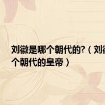 刘徽是哪个朝代的?(刘徽是哪个朝代的皇帝)