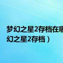 梦幻之星2存档在哪（梦幻之星2存档）