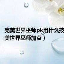 完美世界巫师pk用什么技能(完美世界巫师加点)
