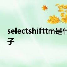 selectshifttm是什么牌子