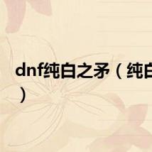 dnf纯白之矛（纯白之矛）