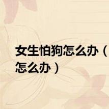 女生怕狗怎么办（怕狗怎么办）