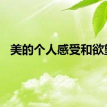 美的个人感受和欲望。