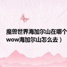 魔兽世界海加尔山在哪个地图（wow海加尔山怎么去）