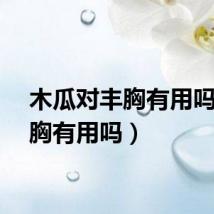 木瓜对丰胸有用吗（丰胸有用吗）