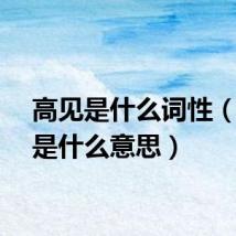 高见是什么词性（高见是什么意思）