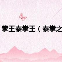 拳王泰拳王（泰拳之王）