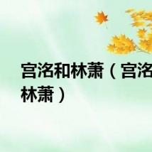 宫洺和林萧（宫洺喜欢林萧）