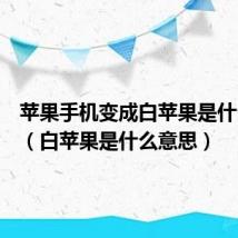 苹果手机变成白苹果是什么意思(白苹果是什么意思)