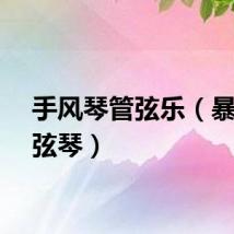 手风琴管弦乐（暴风三弦琴）