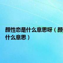 颜性恋是什么意思呀(颜性恋是什么意思)