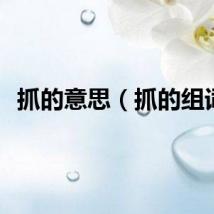 抓的意思（抓的组词）