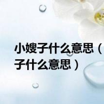 小嫂子什么意思（小嫂子什么意思）