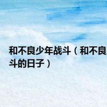 和不良少年战斗(和不良少年战斗的日子)