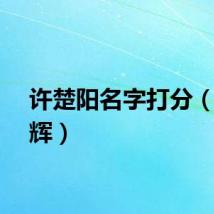 许楚阳名字打分（许楚辉）