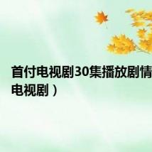 首付电视剧30集播放剧情(首付电视剧)