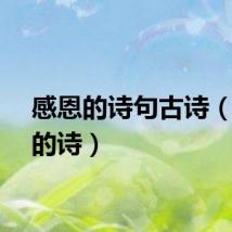 感恩的诗句古诗（感恩的诗）