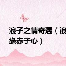 浪子之情奇遇（浪子情缘赤子心）