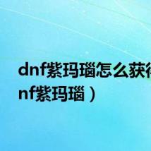 dnf紫玛瑙怎么获得(dnf紫玛瑙)