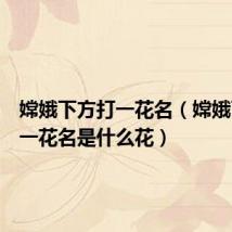 嫦娥下方打一花名(嫦娥下凡打一花名是什么花)