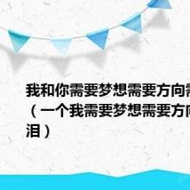 我和你需要梦想需要方向需要眼泪(一个我需要梦想需要方向需要眼泪)