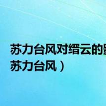 苏力台风对缙云的影响(苏力台风)