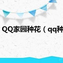 QQ家园种花（qq种花）
