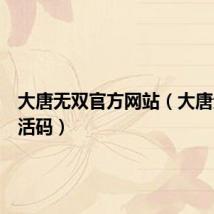 大唐无双官方网站(大唐无双激活码)
