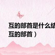 互的部首是什么结构（互的部首）