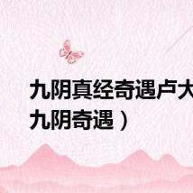 九阴真经奇遇卢大叔（九阴奇遇）