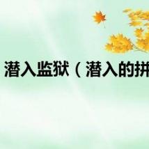 潜入监狱（潜入的拼音）