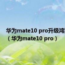 华为mate10 pro升级鸿蒙系统(华为mate10 pro)