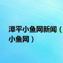 漳平小鱼网新闻（漳平小鱼网）