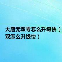 大唐无双零怎么升级快(大唐无双怎么升级快)