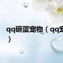qq砸蛋宠物（qq宠物蛋）