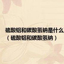 硫酸铝和碳酸氢钠是什么灭火器(硫酸铝和碳酸氢钠)