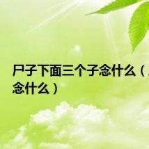 尸子下面三个子念什么(三个子念什么)