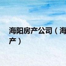 海阳房产公司（海洋房产）